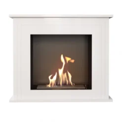Crawley Freestanding Bio Fireplace -Dimplex Shop images 6 replace existing fire with ethanol burner 287161 47012