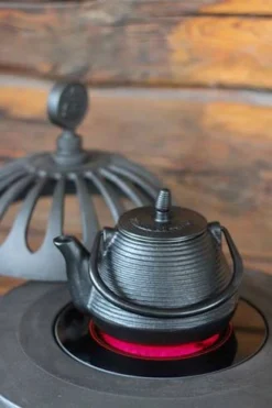 Carl Electric Fireplace -Dimplex Shop kande westbo of sweden 47440