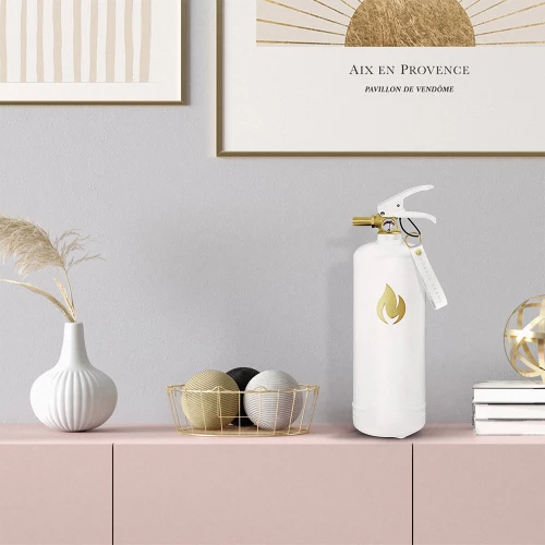 White Fire Extinguisher 2 Kg - Gold Emblem - Image 4