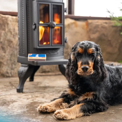 Carl Bioethanol 4 Carl Bioethanol - Image 2